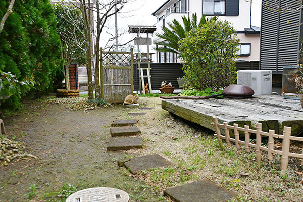 禅道場浄円寺の庭